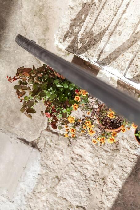 Casetta Laura C.I.S. Br07401291000012685 Ostuni Zewnętrze zdjęcie